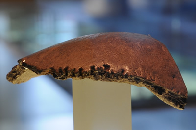 Schädelfragment  eines Neandertalers 90.000–35.000 v. Chr., Warendorf-Neuwarendorf (Quelle: LWL-Museum für Archäologie / Mark Tewissen)